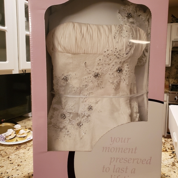 Avine Perucchi St Pucchi Wedding Gown - Picture 6 of 8